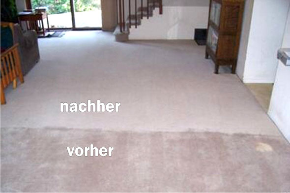 Professionelle Teppichbodenreinigung
