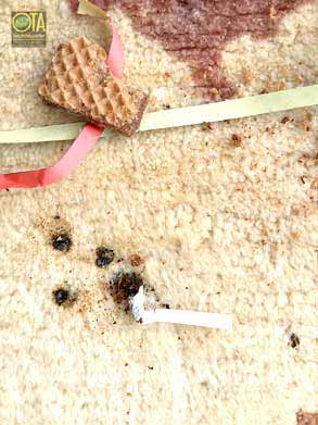 Rotweinfleck im Teppich vor der Teppichreinigung