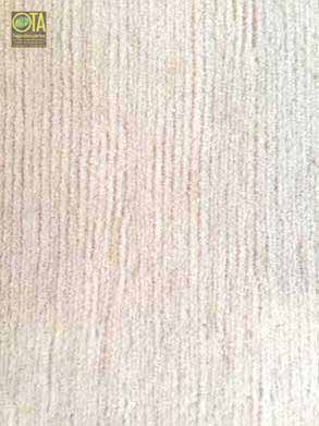 Sauberer Teppich nach unserer Teppichreinigung - Schuhabdrücke wurden beseitigt