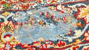 Motten haben im Teppich Löcher gemacht