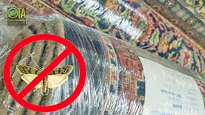 Wir verpacken Teppiche mottensicher für längere Aufbewahrung